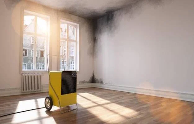 Appareil de traitement de l'humidité en fonctionnement dans une pièce humide et touchée par les moisissures lors d'un assainissement
